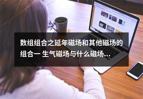 数组组合之延年磁场和其他磁场的组合一 生气磁场与什么磁场最配 生气磁场能为人们带来贵人吗