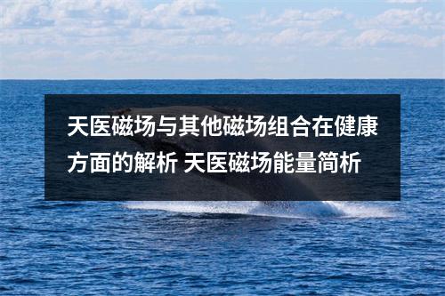 天医磁场与其他磁场组合在健康方面的解析 天医磁场能量简析